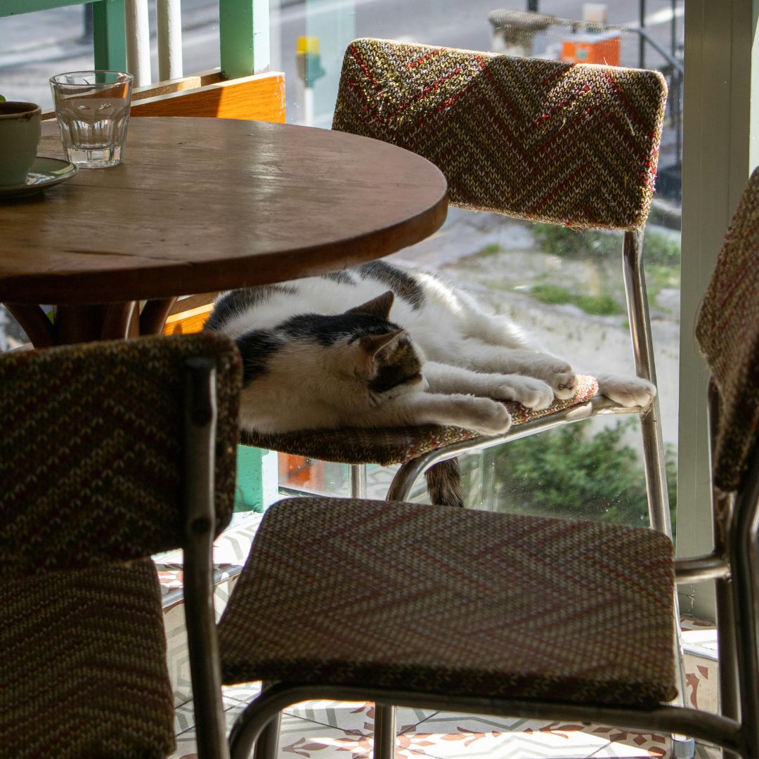 Best Clutter Free Living Quotes